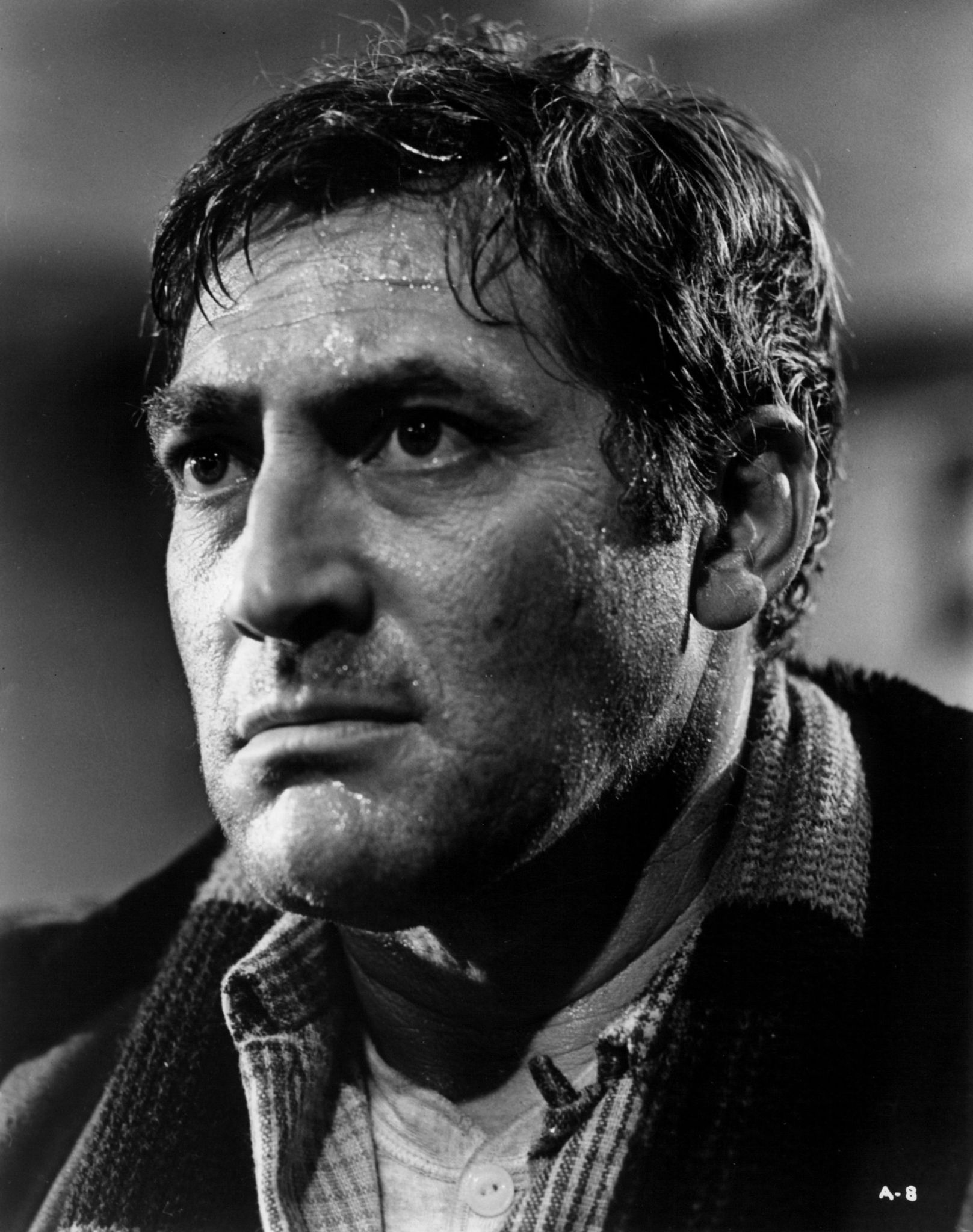 actor Norman Alden large photo