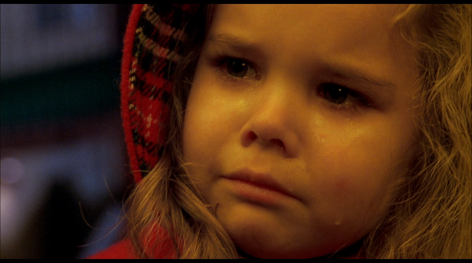 actor Amanda Pombo large photo