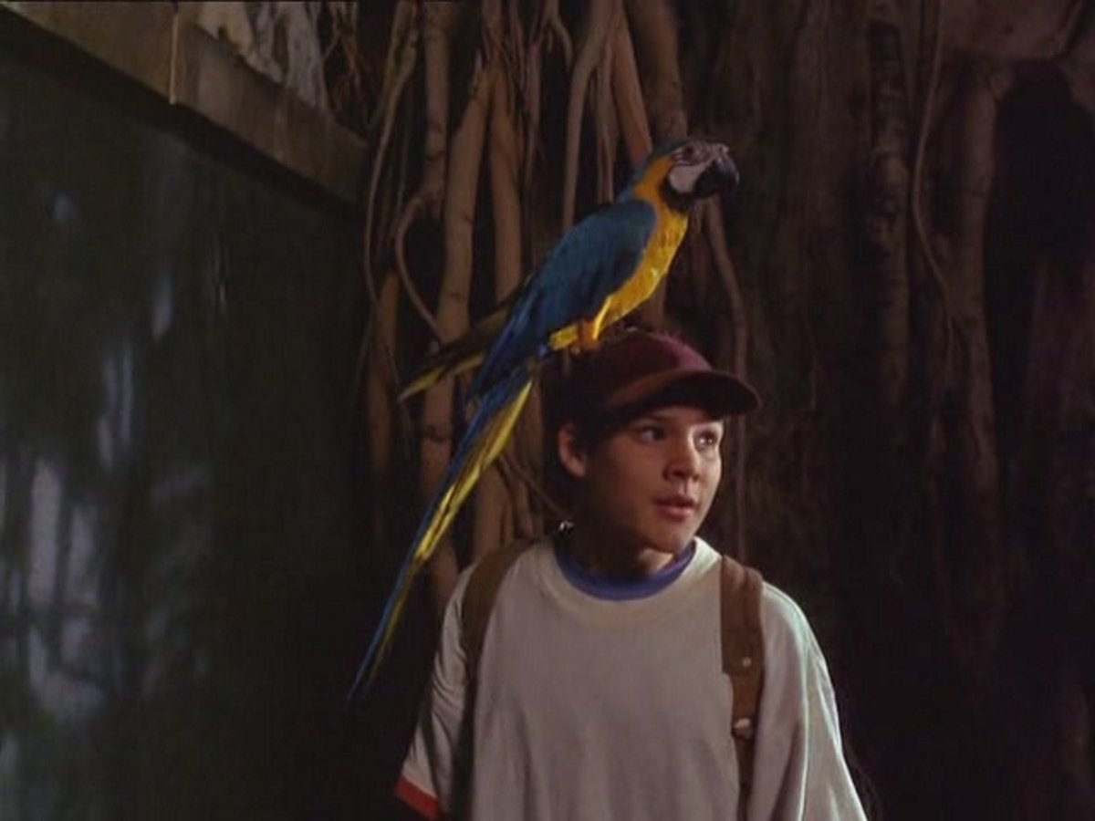 actor Jamie Croft large photo