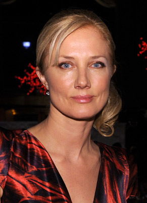actor Joely Richardson large photo