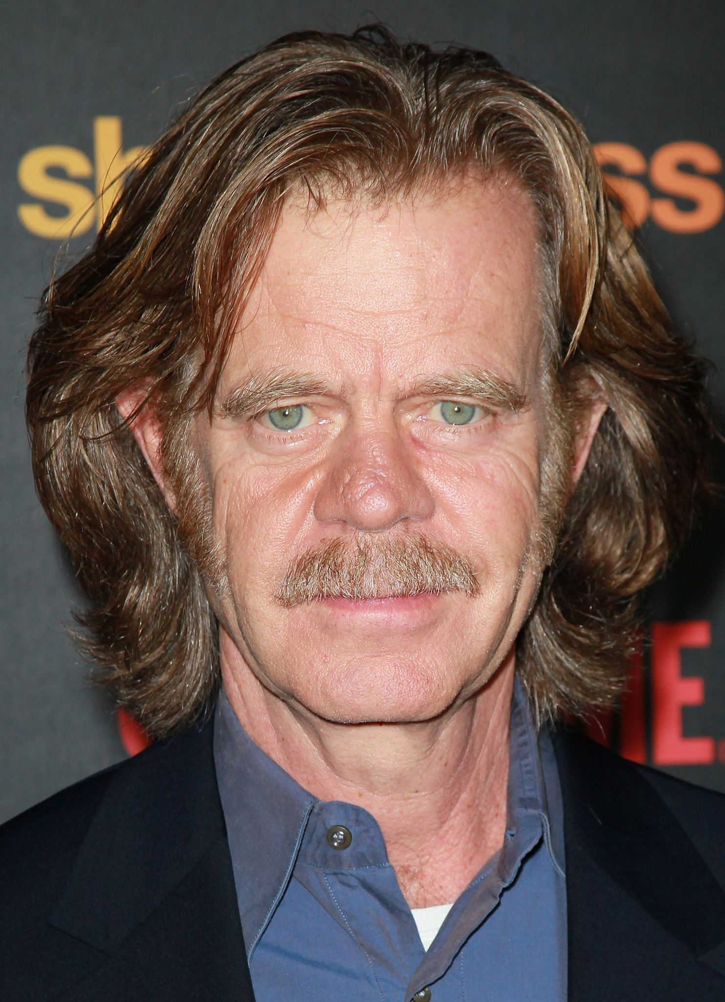 actor William H. Macy large photo actor William H. Macy large photo