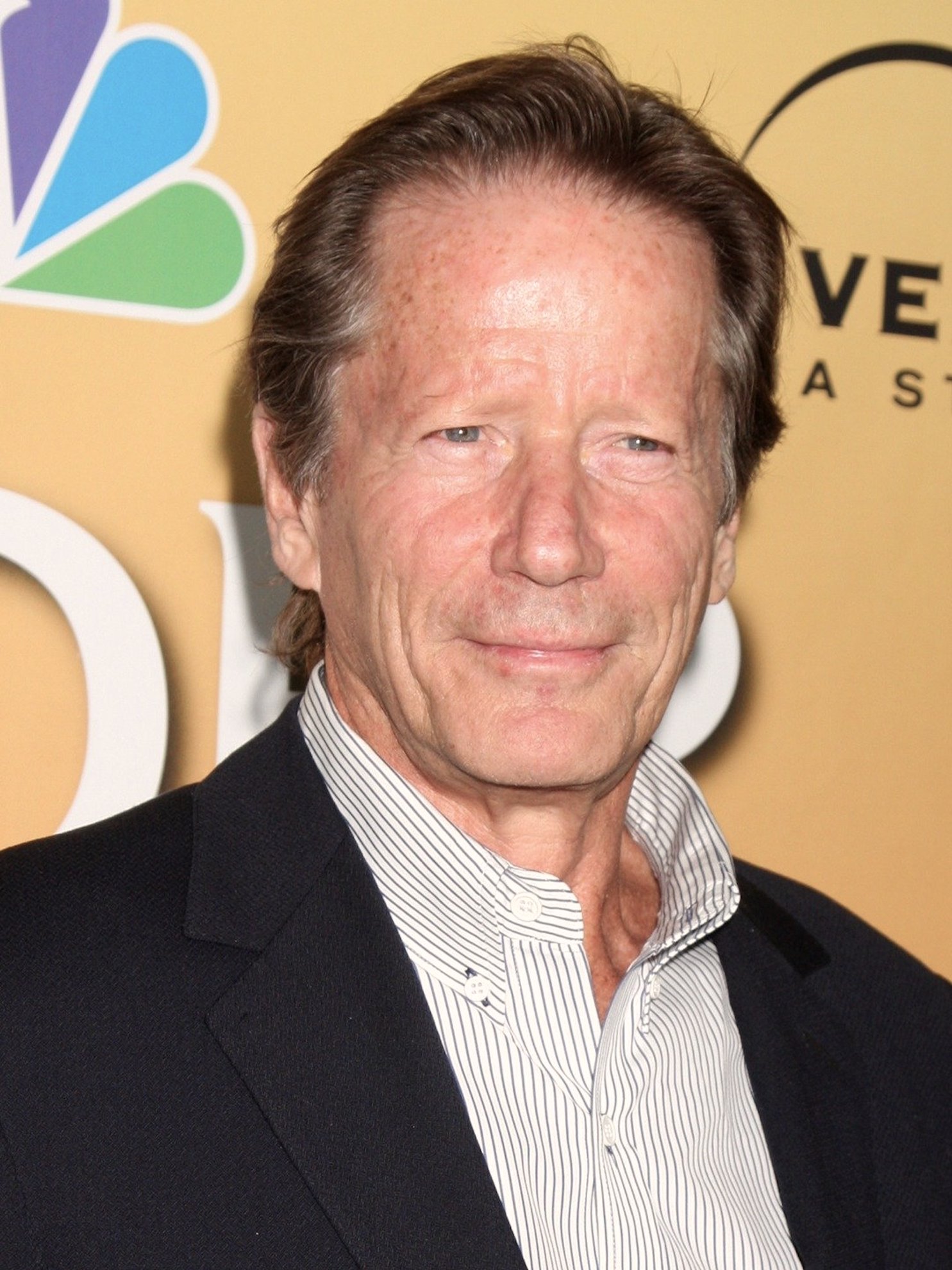 actor Peter Strauss large photo