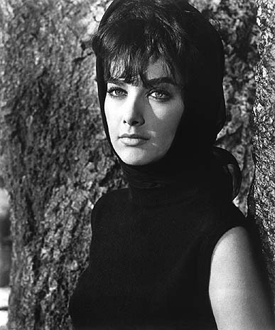 actor Suzanne Pleshette large photo actor Suzanne Pleshette large photo