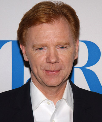 actor David Caruso large photo