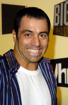 actor Joe Rogan large photo