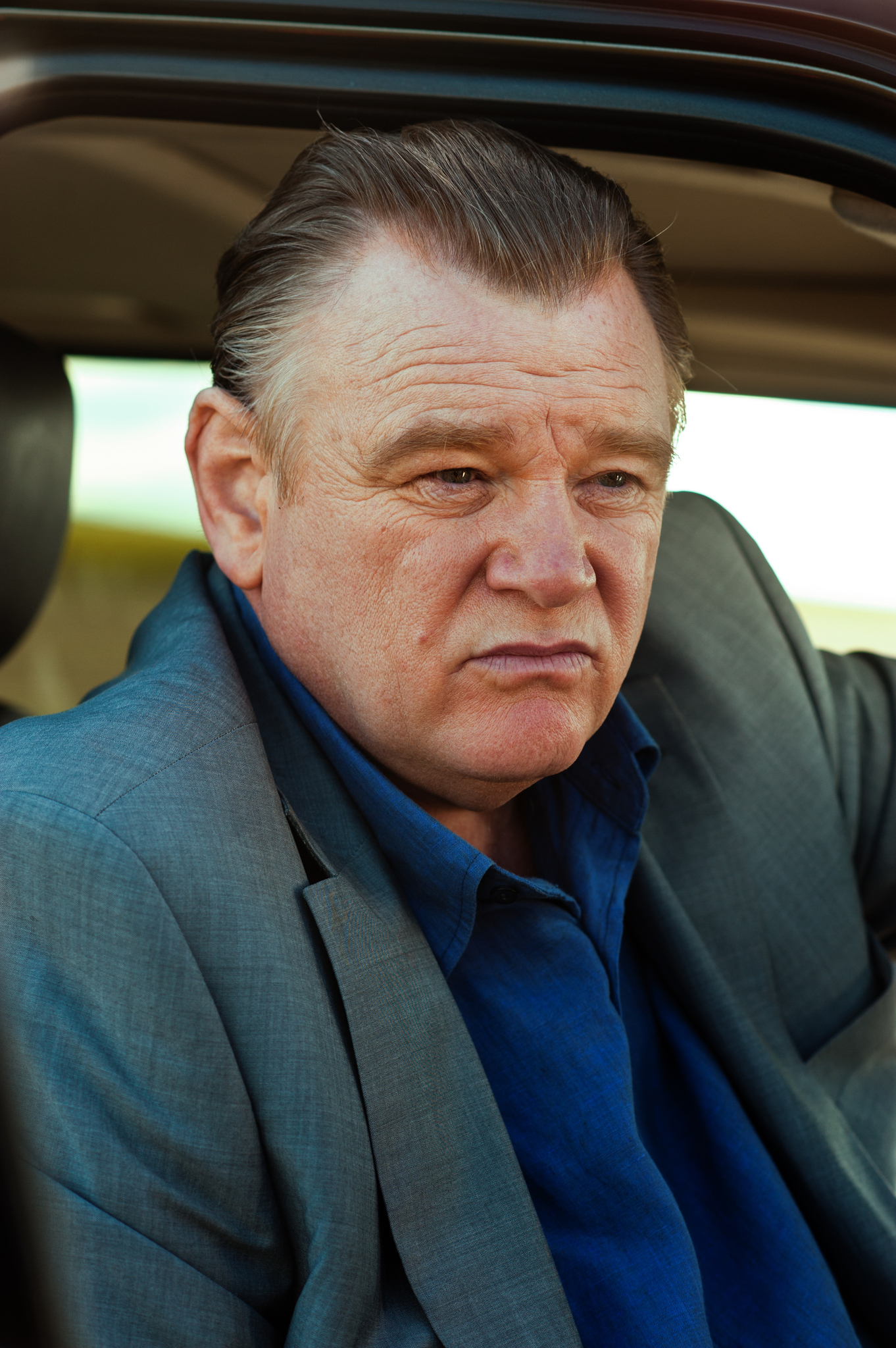 actor Brendan Gleeson large photo