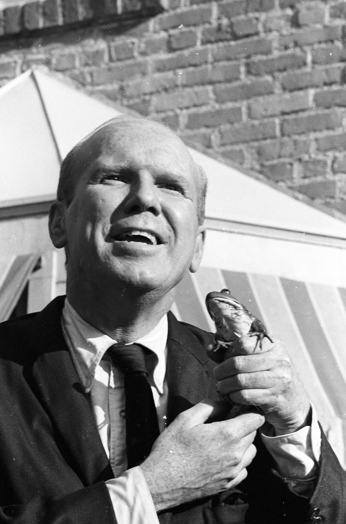 actor John Fiedler large photo actor John Fiedler large photo