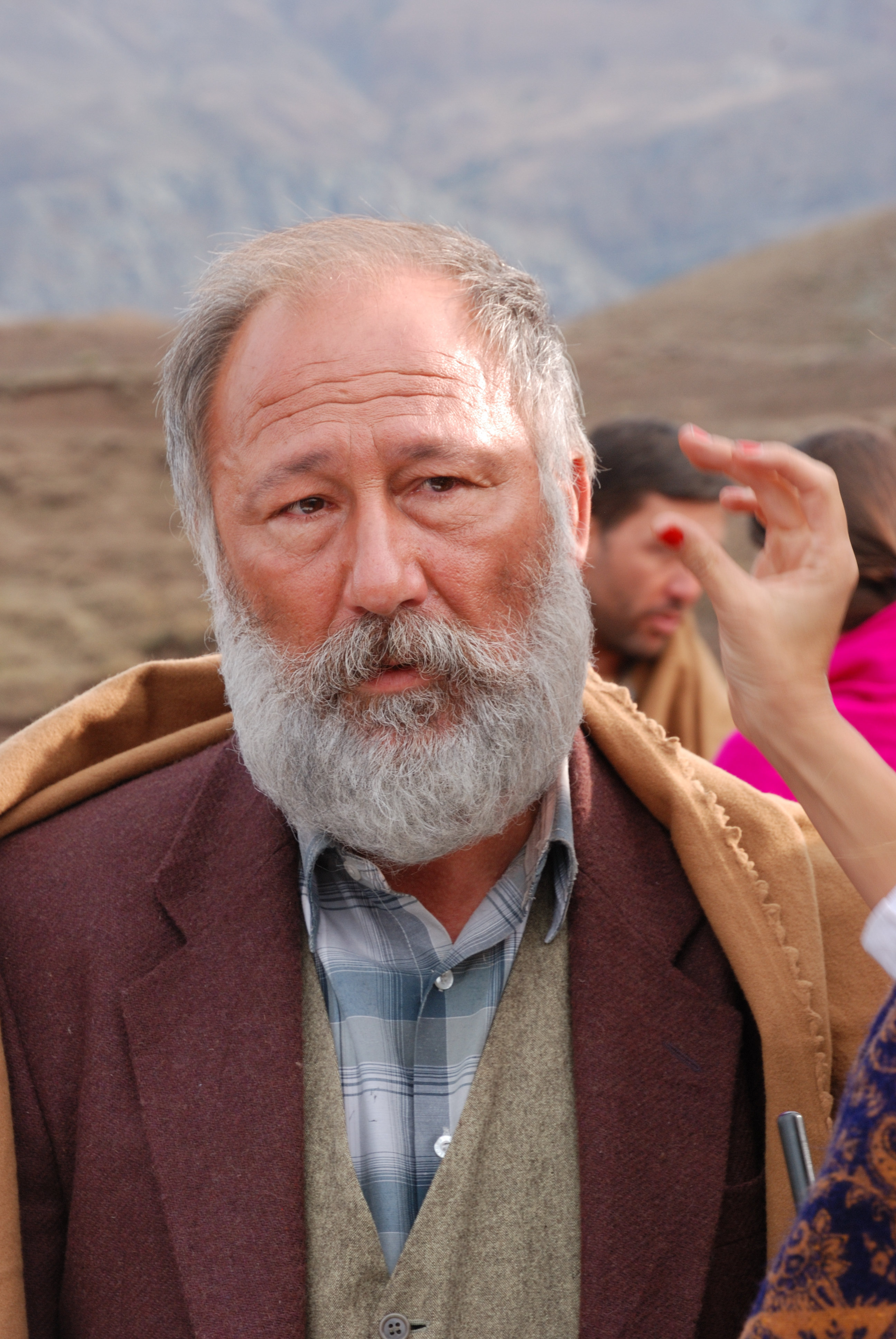 actor Altan Erkekli large photo