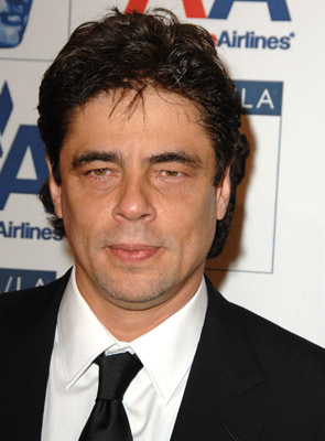 actor Benicio Del Toro large photo