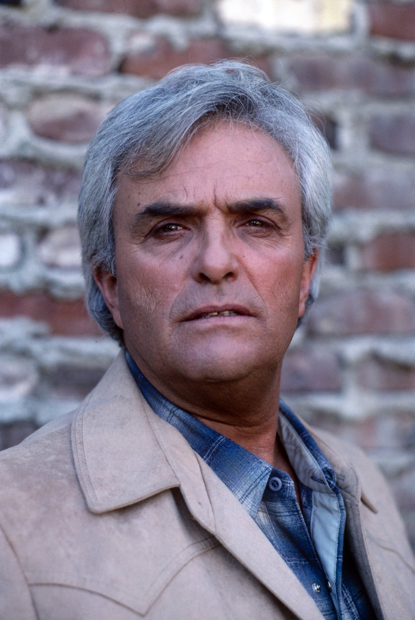 actor Ed Nelson large photo