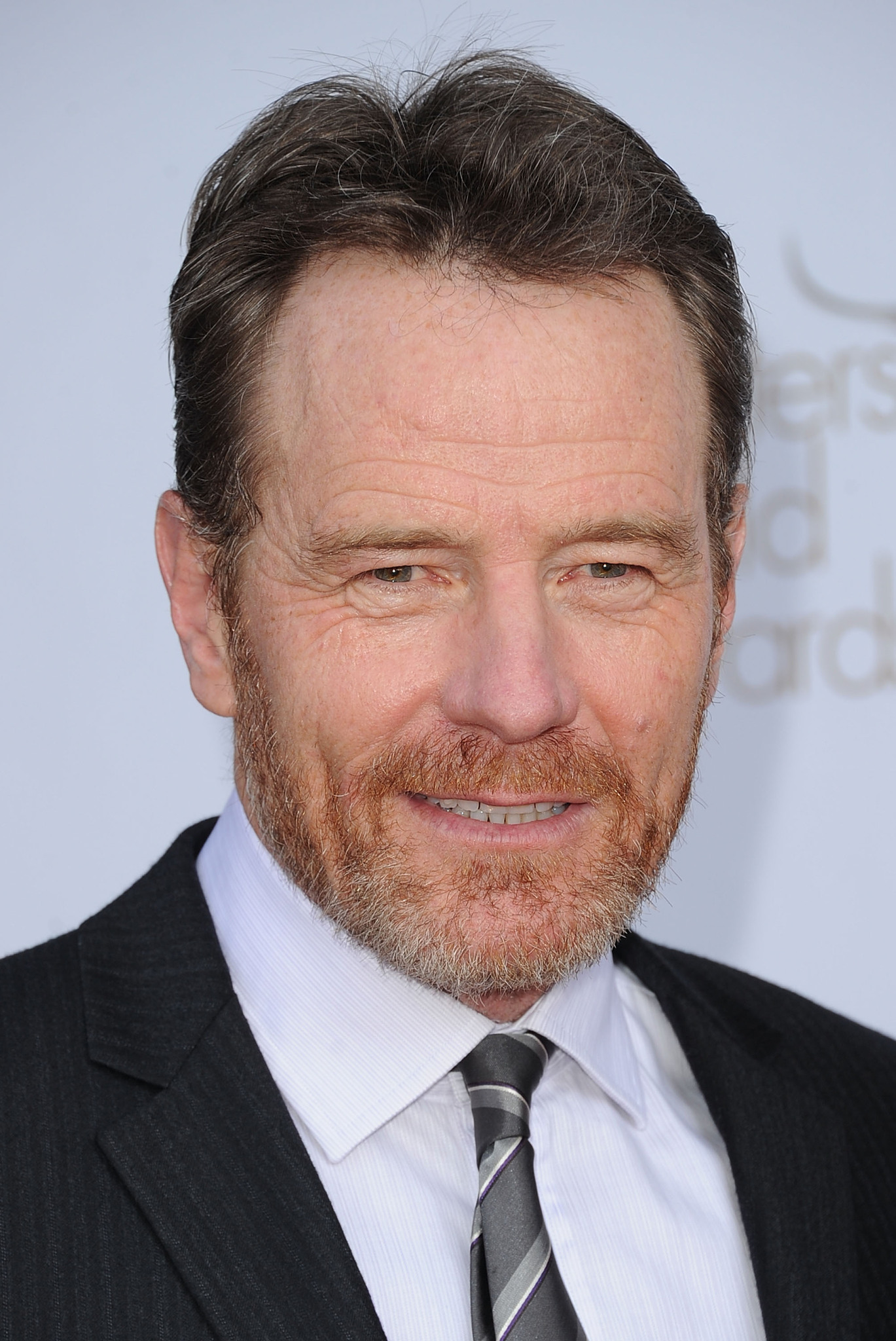 actor Bryan Cranston large photo