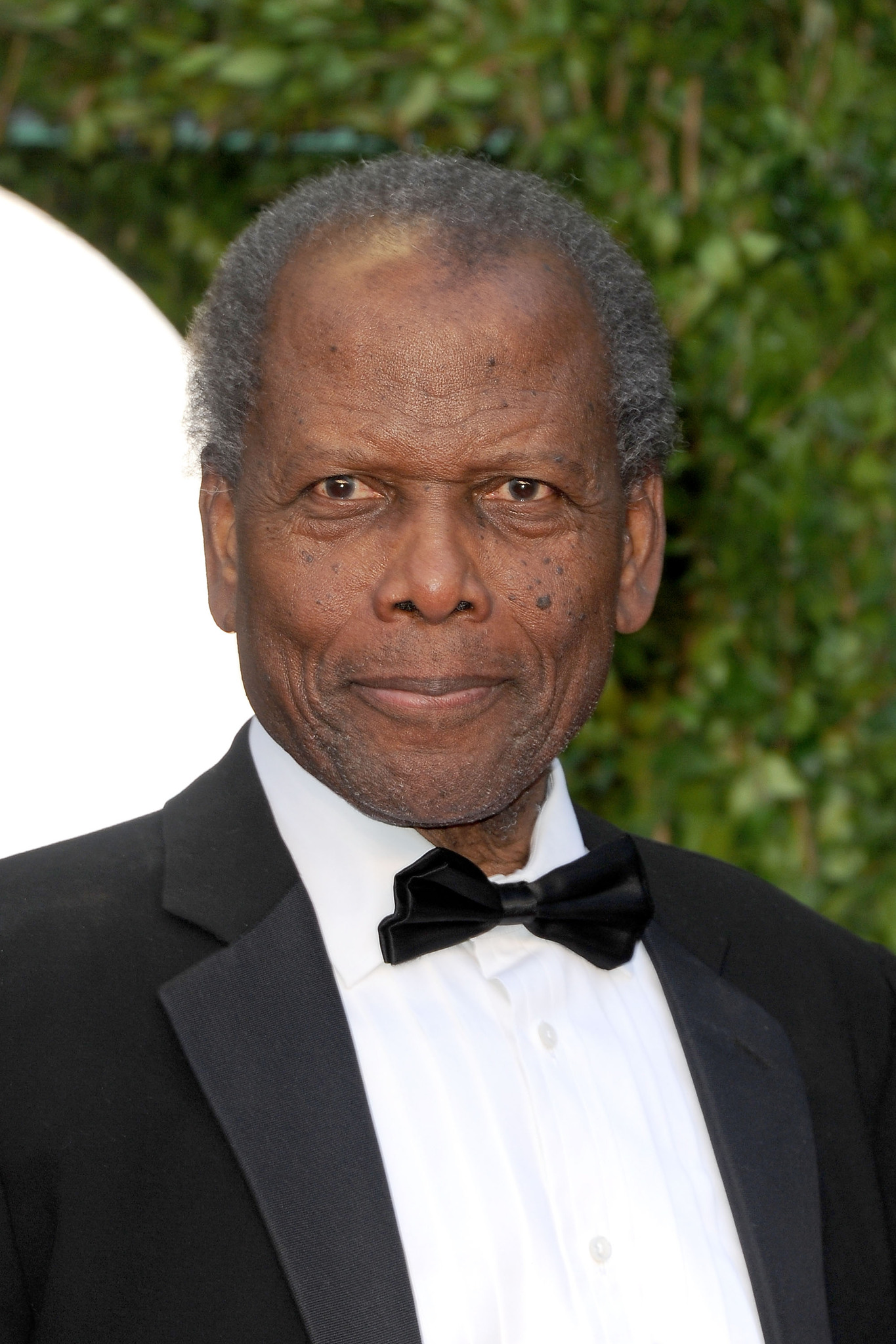 actor Sidney Poitier large photo