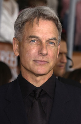 actor Mark Harmon large photo
