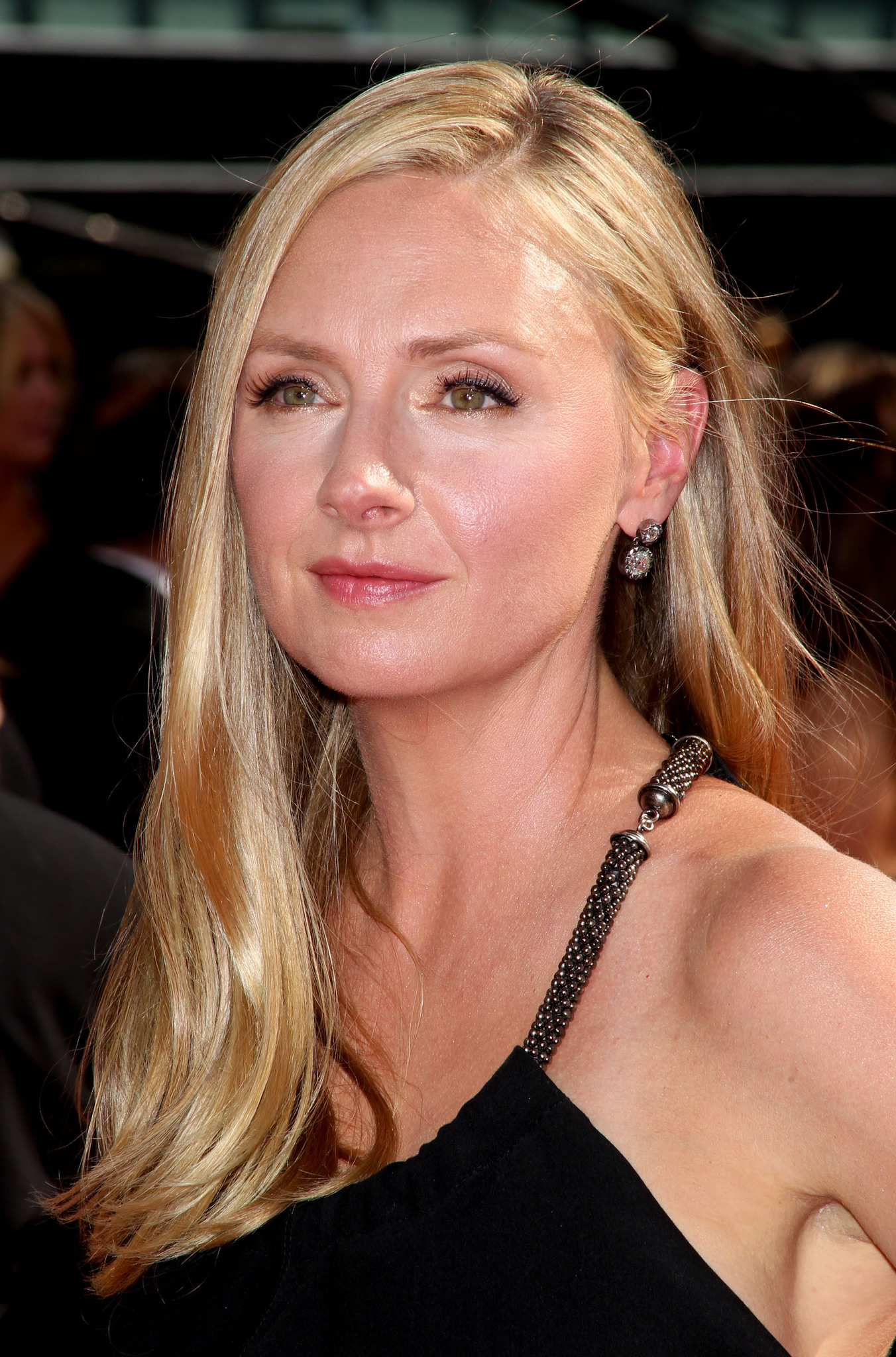 actor Hope Davis large photo