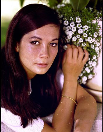 actor Nancy Kwan large photo