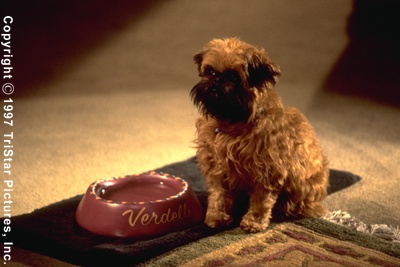 actor Jill the Dog large photo