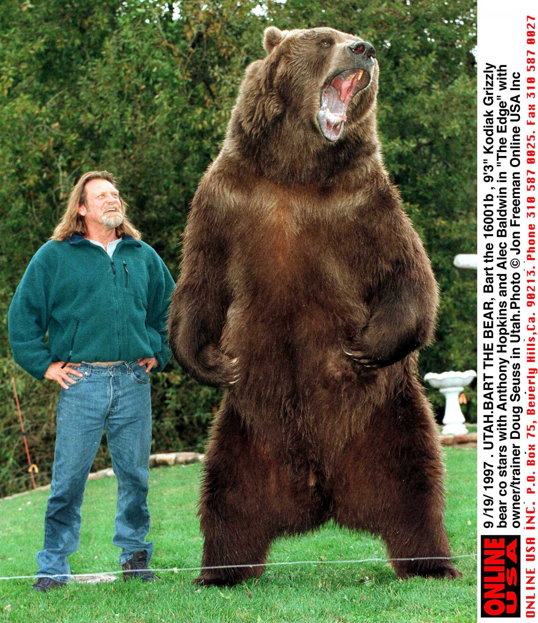 actor Bart the Bear large photo