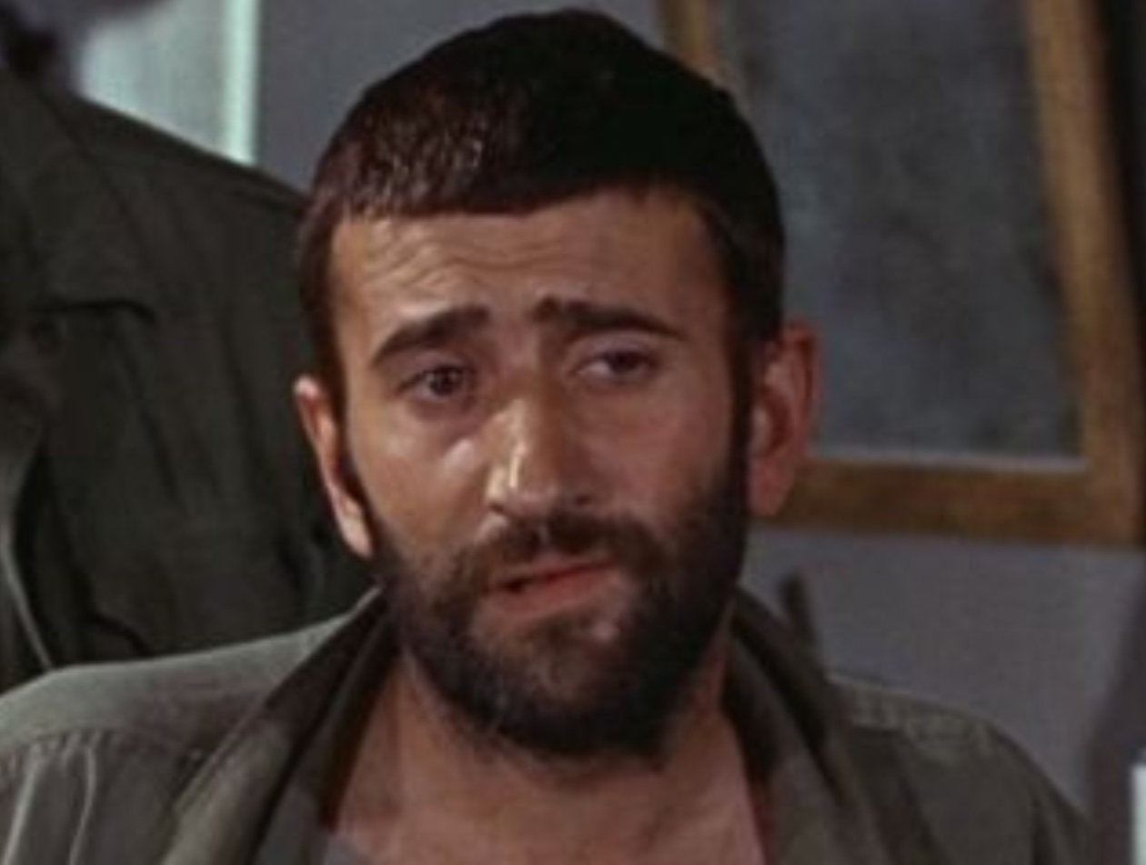 actor Al Mancini large photo