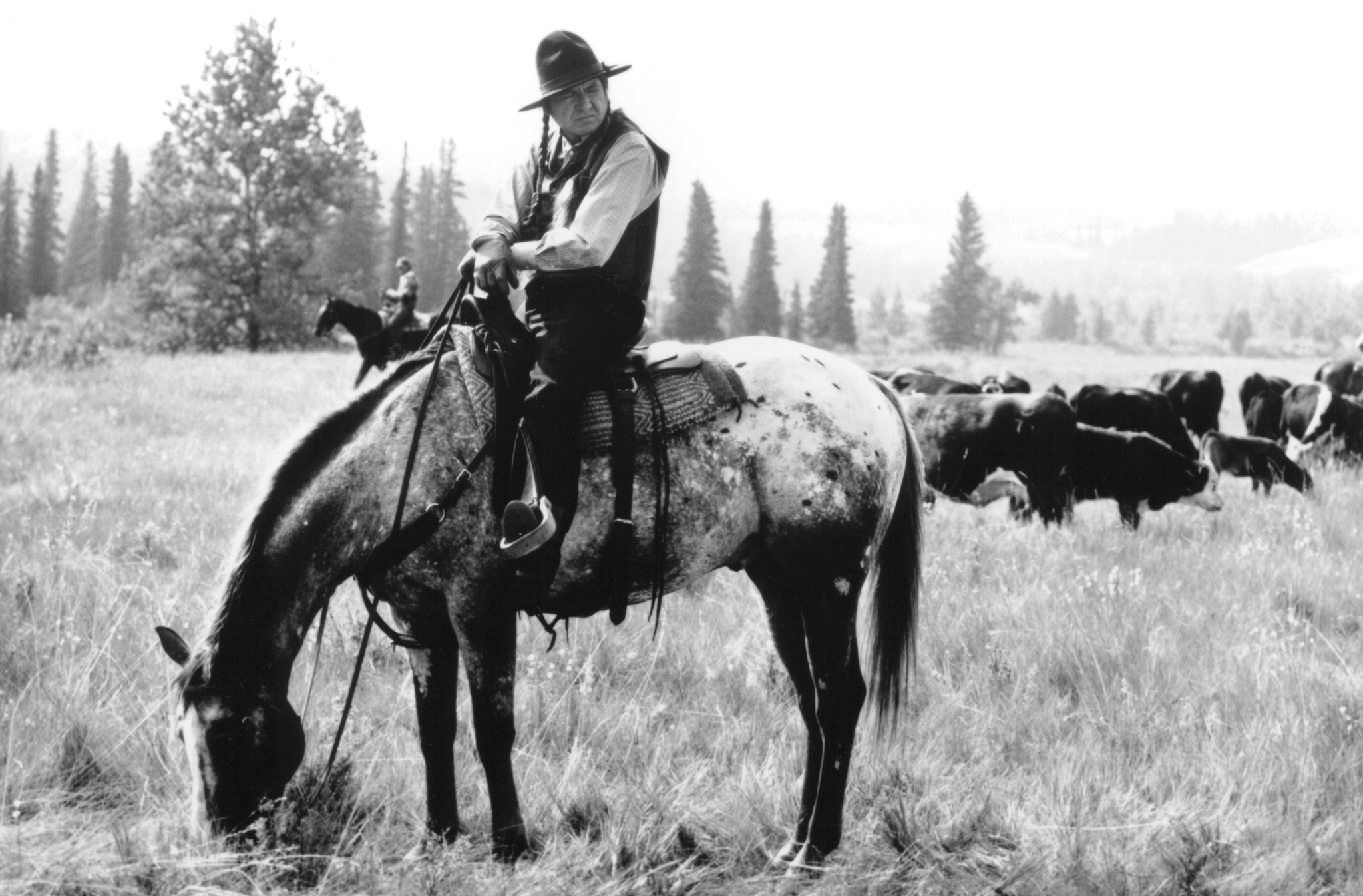 actor Gordon Tootoosis large photo