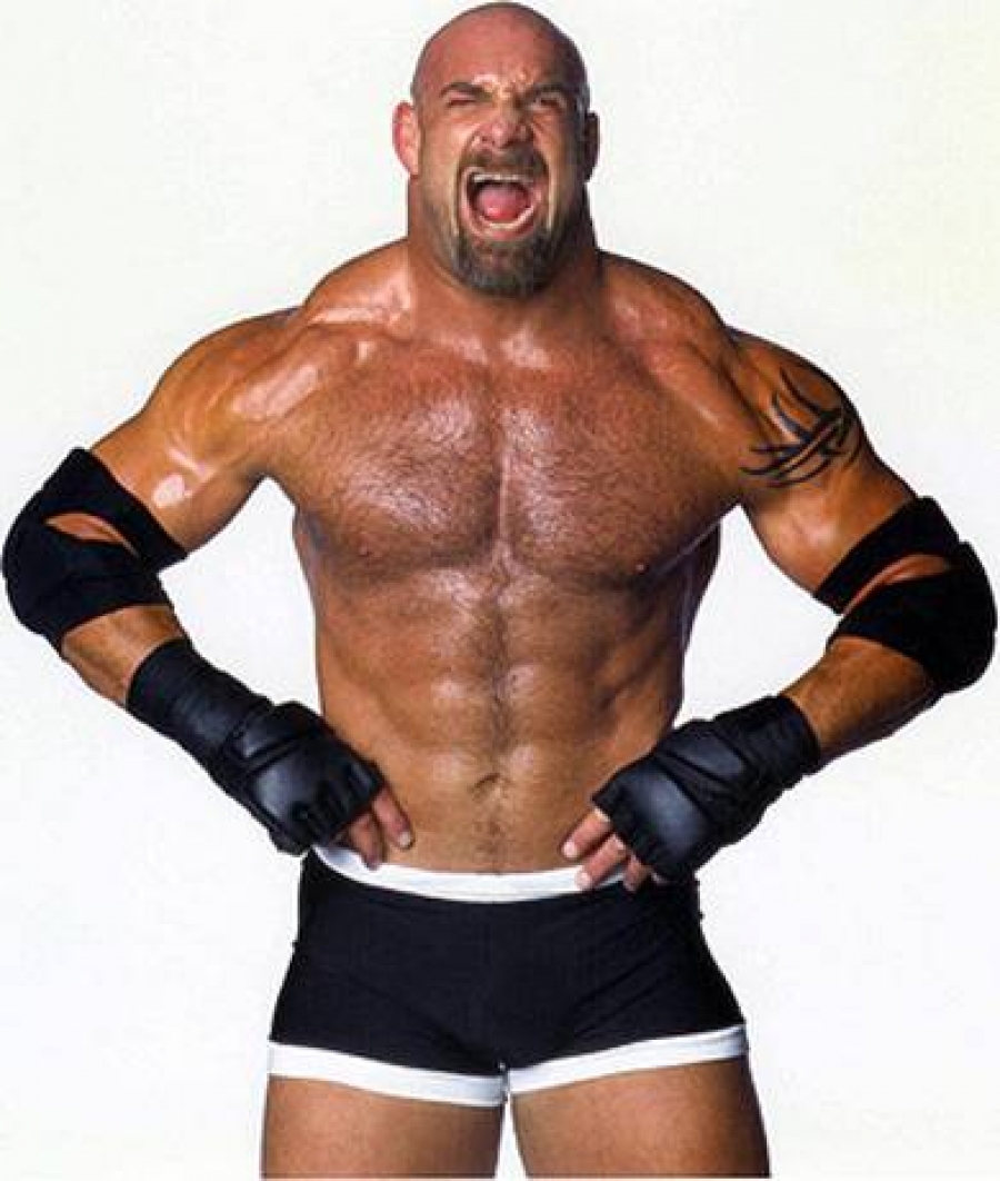 actor Bill Goldberg large photo