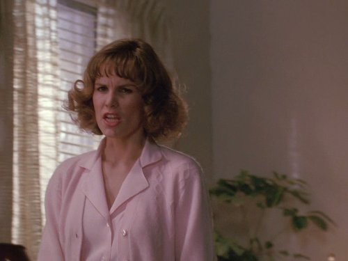 actor Teri Austin large photo