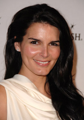 actor Angie Harmon large photo