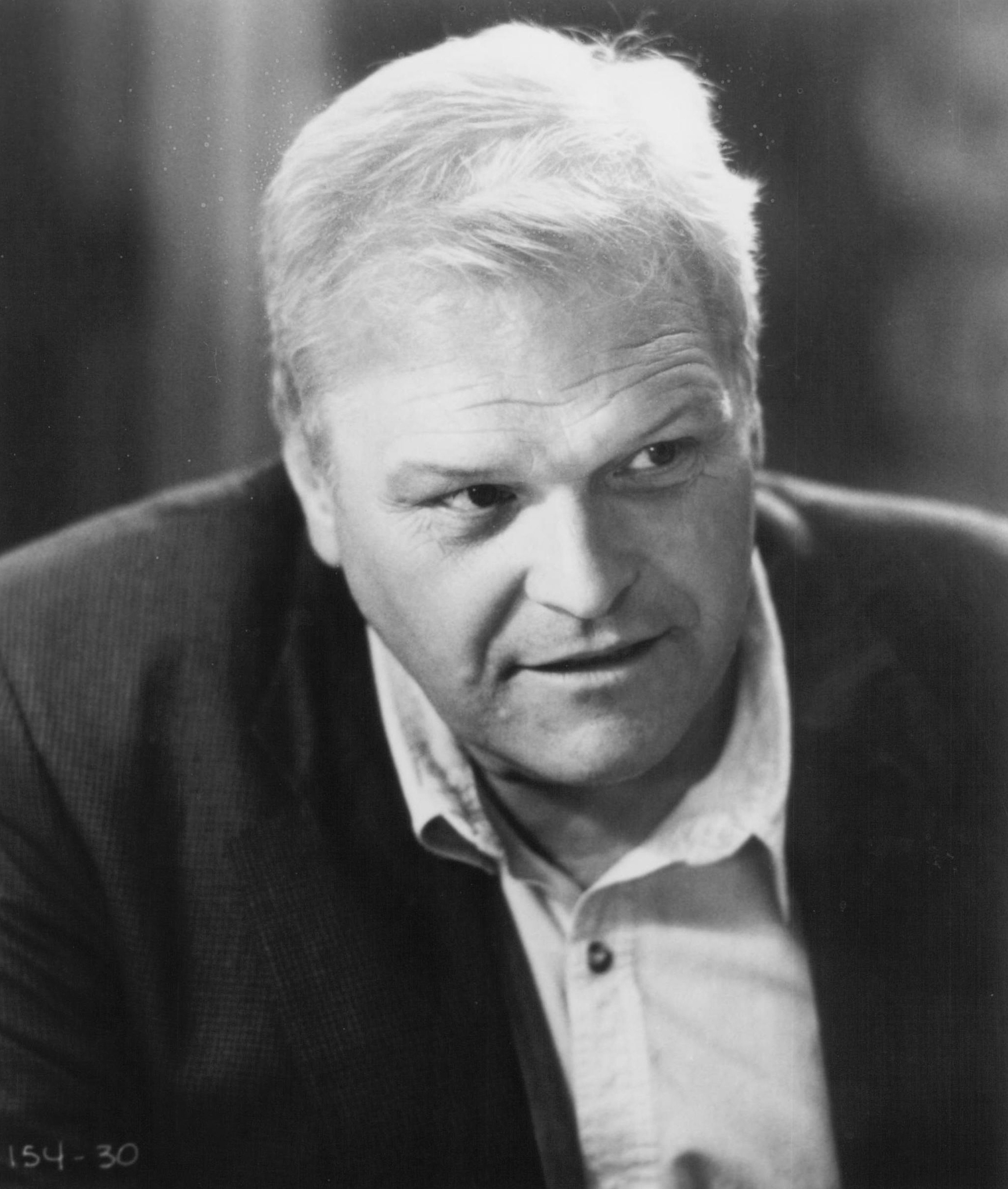 actor Brian Dennehy large photo