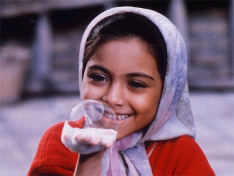 actor Bahare Seddiqi large photo