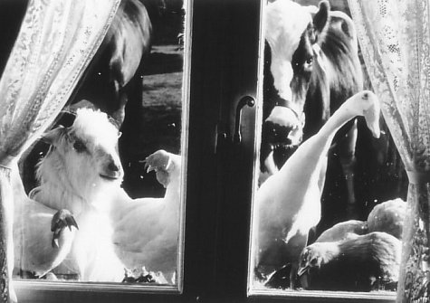 actor Michael Edward-Stevens large photo