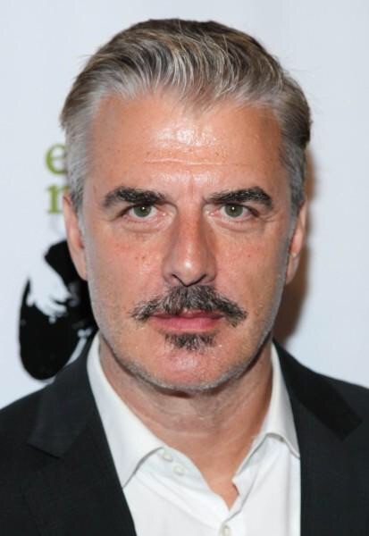 actor Chris Noth large photo