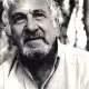 John Bluthal