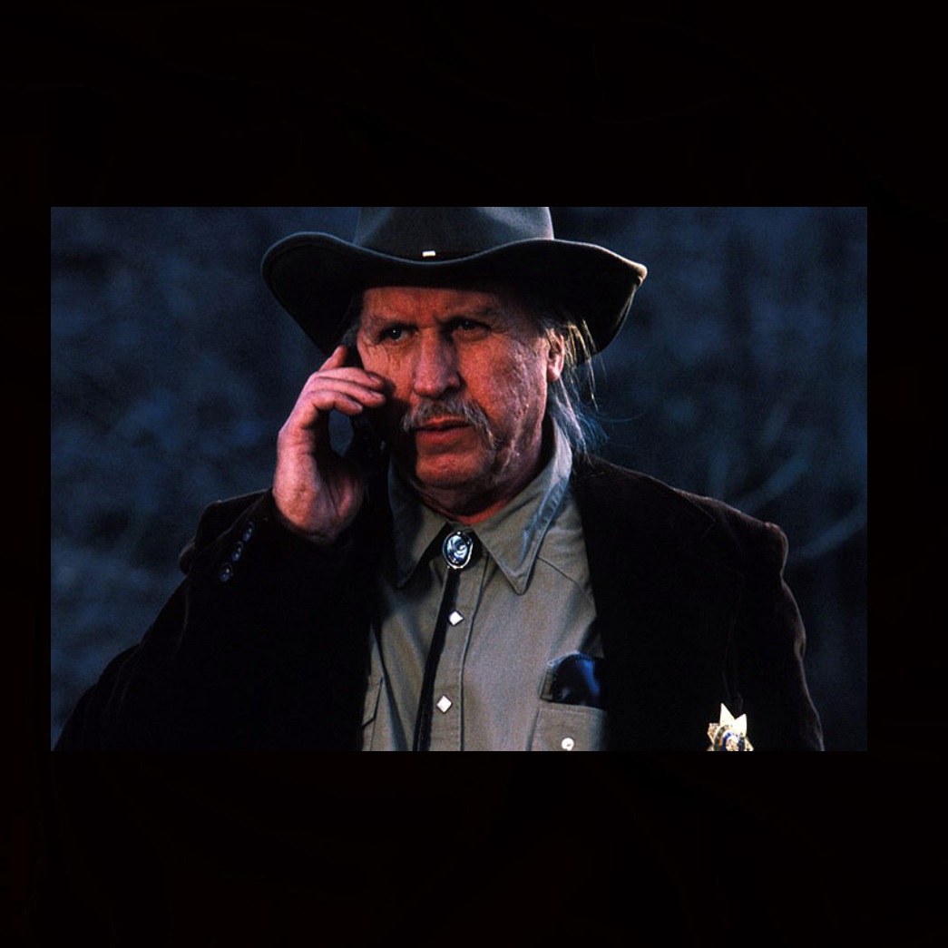 actor Lanny Flaherty large photo