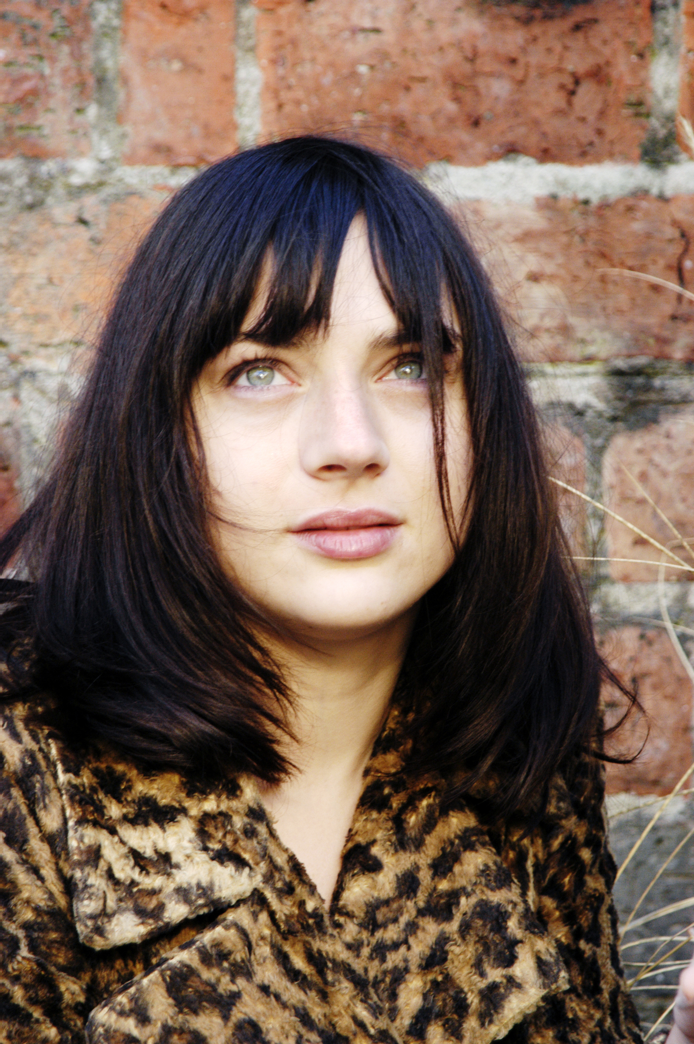 actor Amanda Ryan large photo