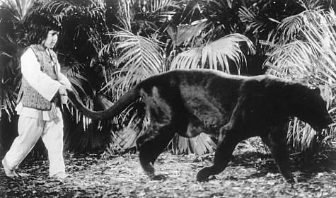 actor Sean Naegeli large photo