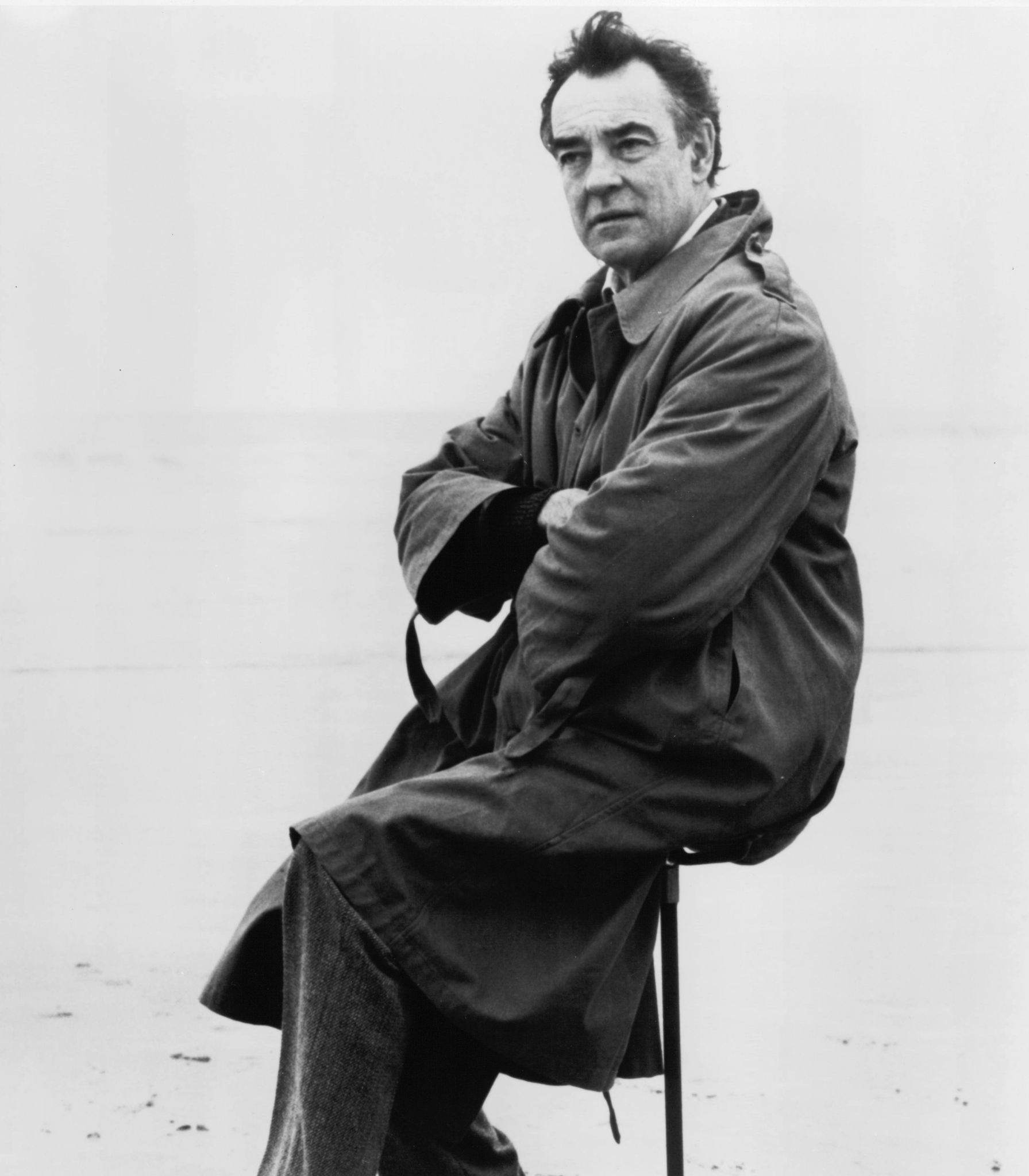 actor Richard Johnson large photo