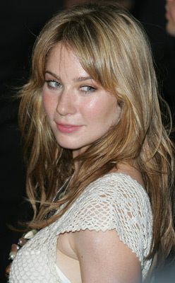 actor Lynn Collins large photo