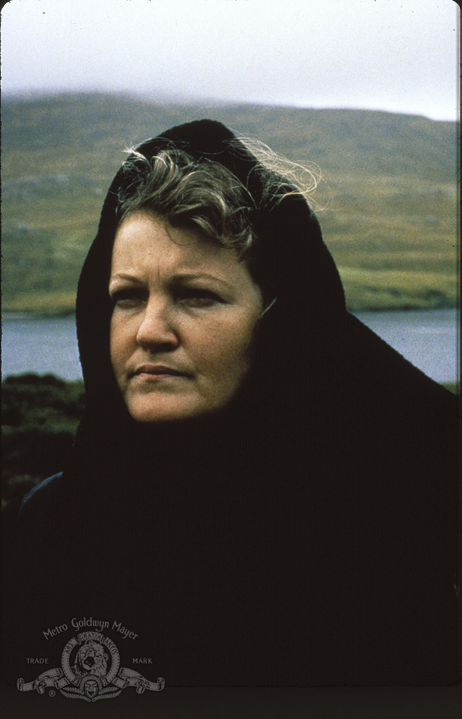 actor Brenda Fricker large photo