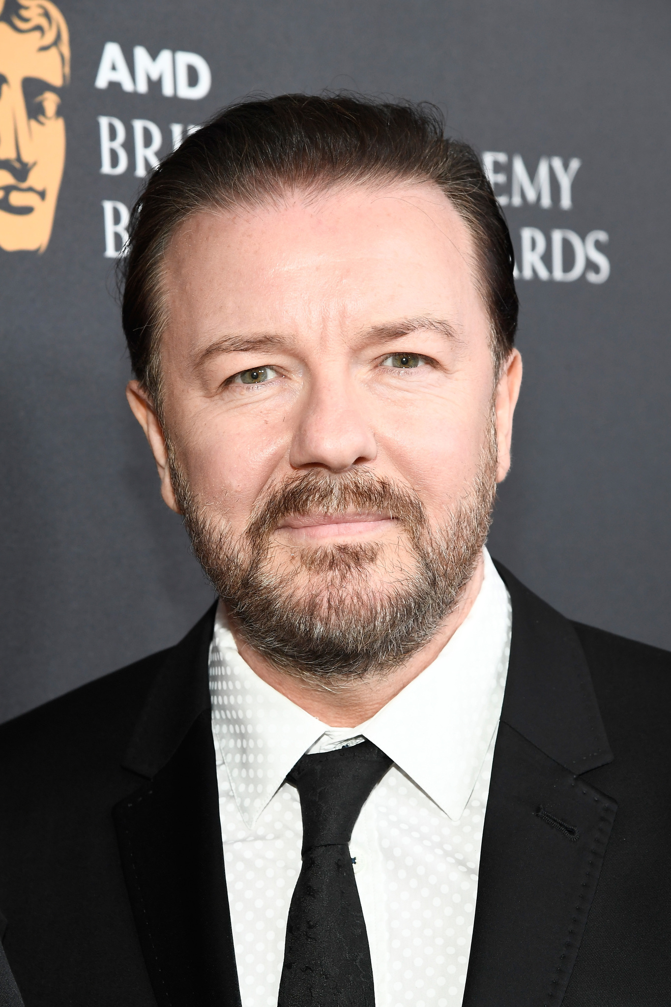 actor Ricky Gervais large photo