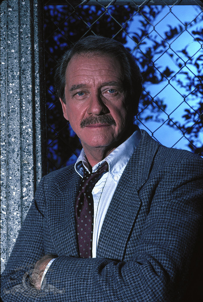 actor Richard Crenna large photo