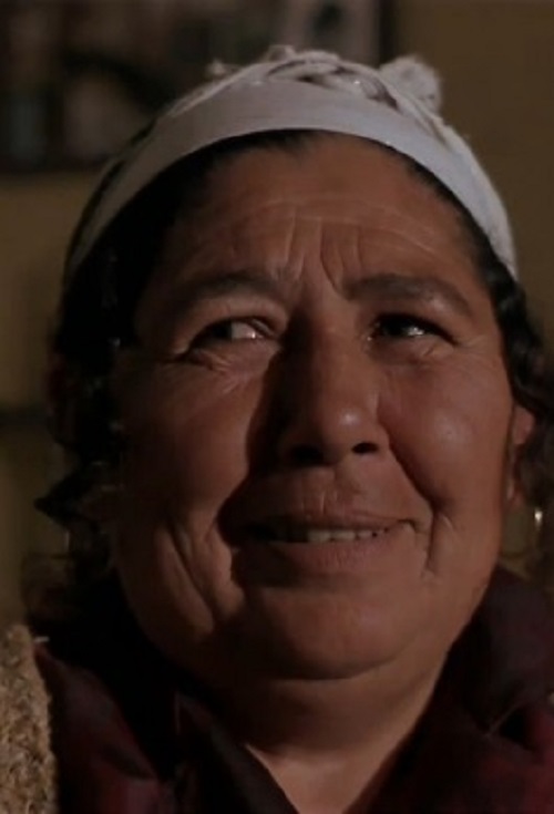 actor Ljubica Adzovic large photo