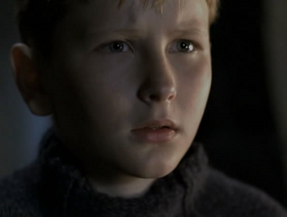 actor Matthew Harbour large photo