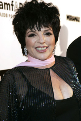 actor Liza Minnelli large photo