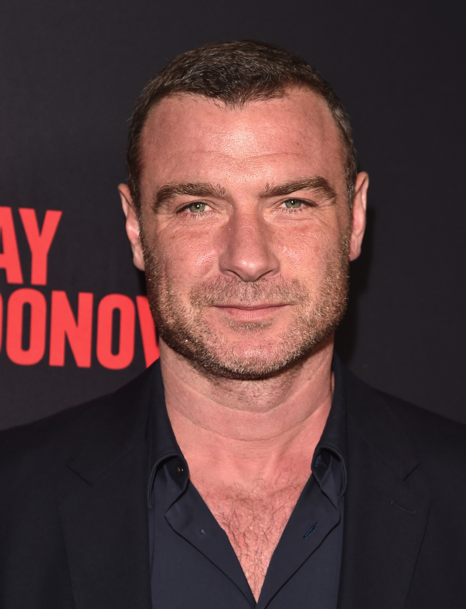 actor Liev Schreiber large photo