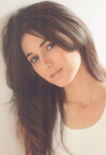 actor Emmanuelle Chriqui large photo