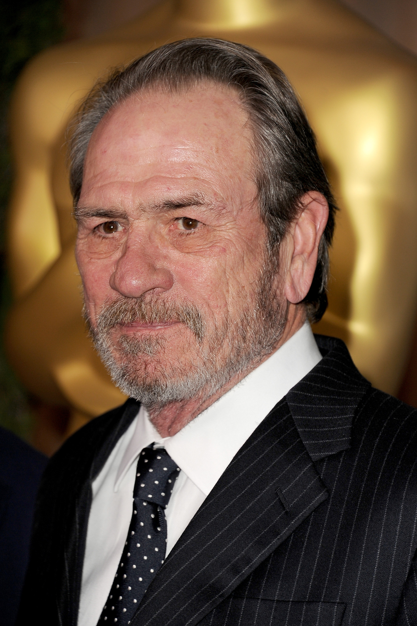 actor Tommy Lee Jones large photo