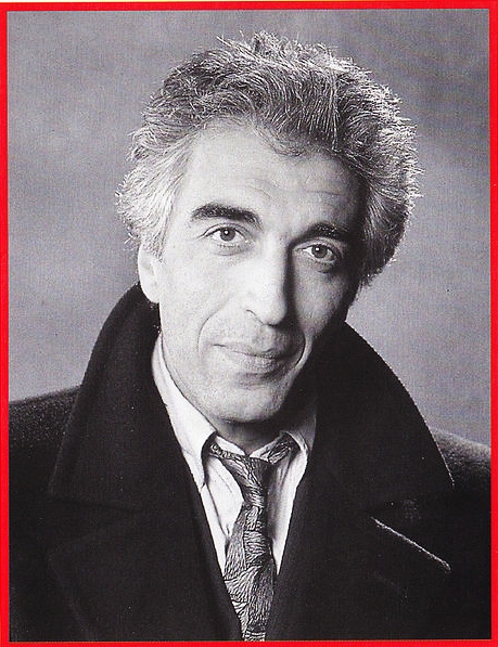 actor Gérard Darmon large photo