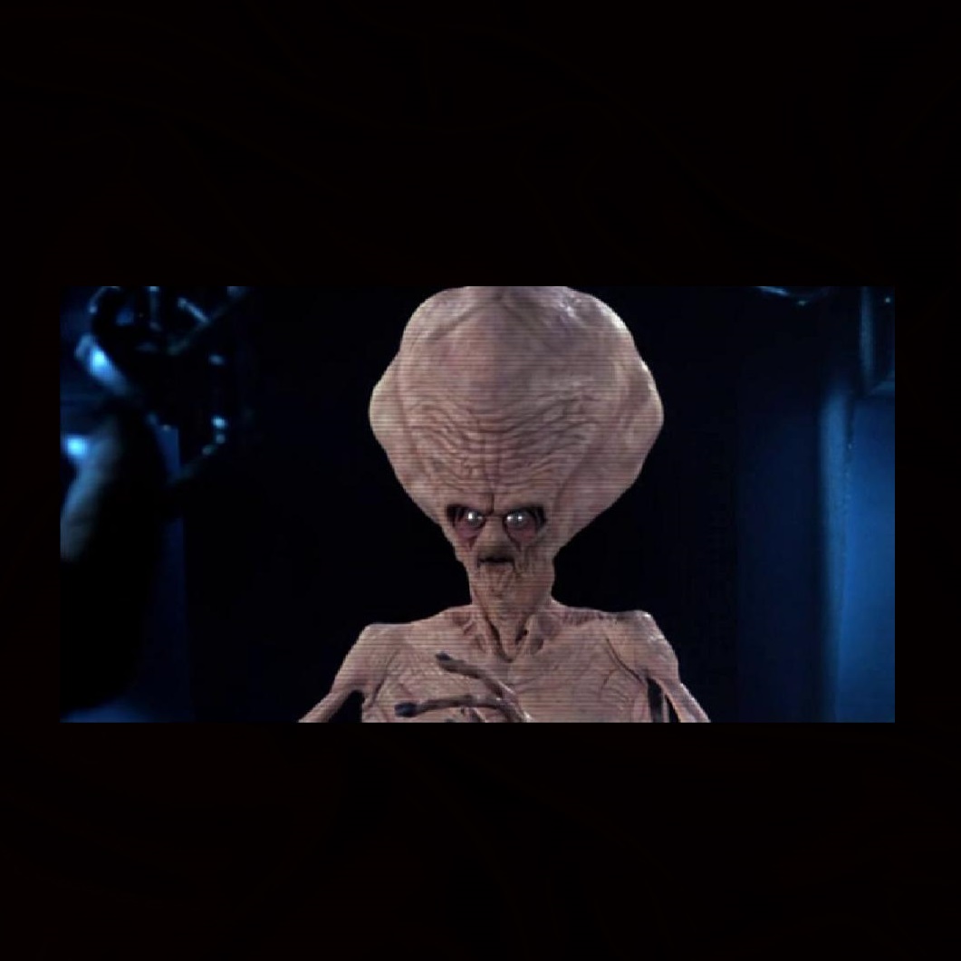 actor Cynthia Garris large photo