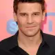 David Boreanaz