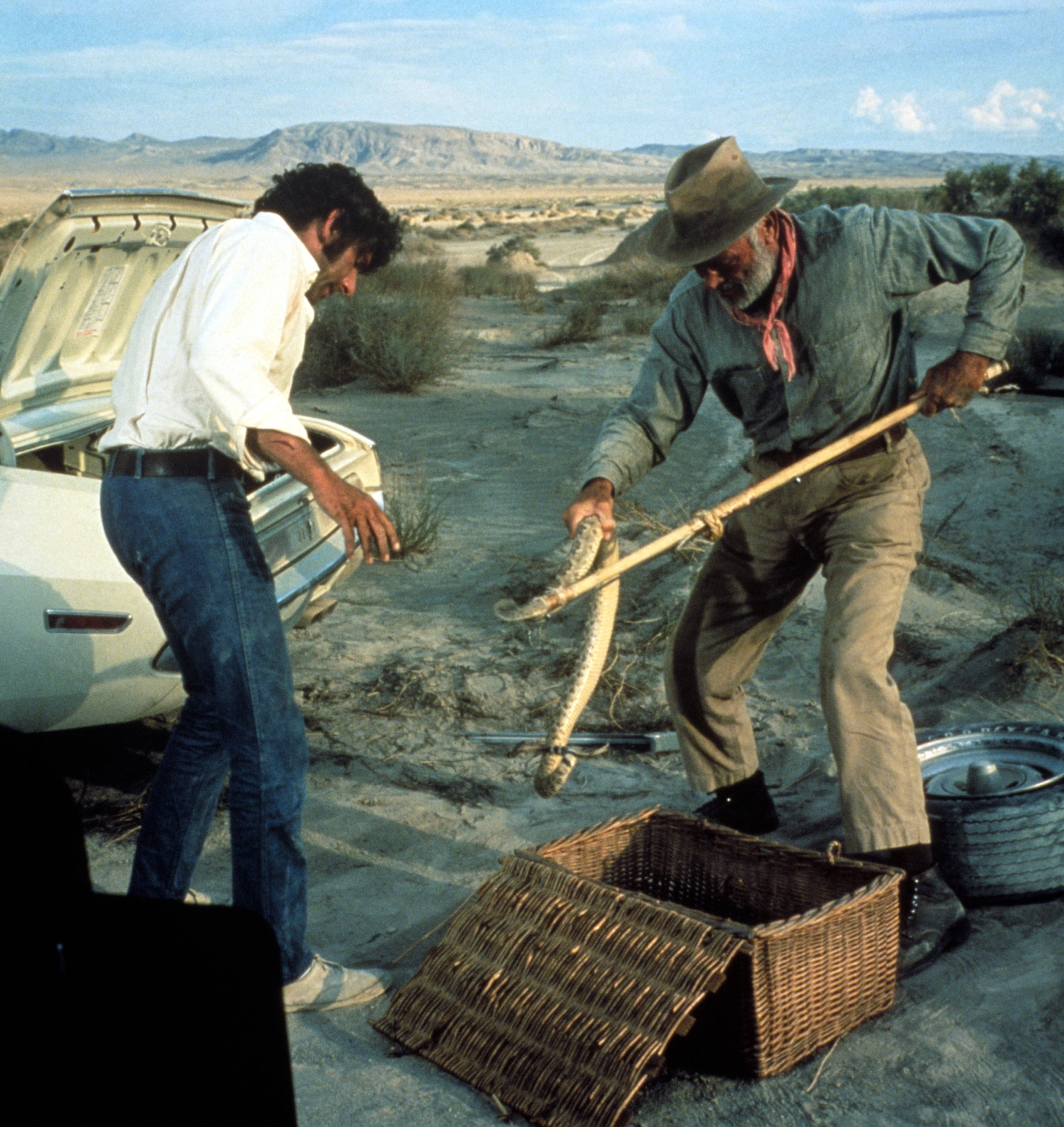 actor Barry Newman large photo