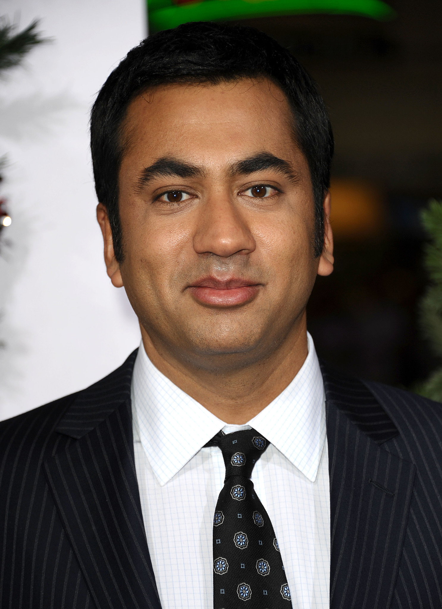 actor Kal Penn large photo